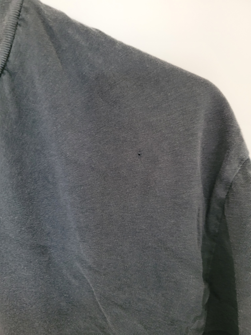ANINE BING Graphic Eagle Tee in Charcoal with Rust Logo - Picture 4 of 8